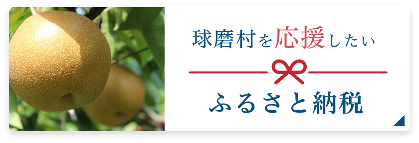 ふるさと納税