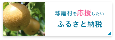 ふるさと納税