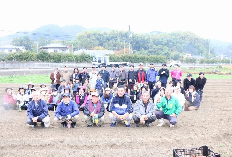 11月6日チューリップ6